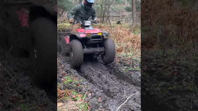 37-year-old honda atv vs modern honda atv! 37-year-old honda atv vs modern honda atv!