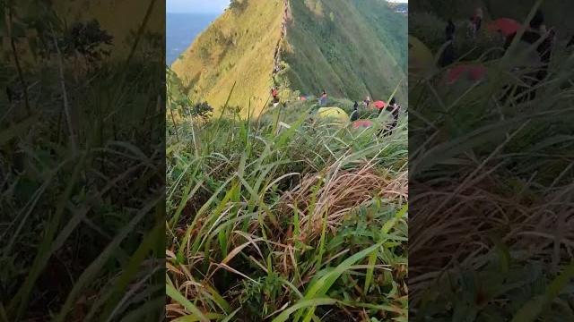 Selamat pagi dari puncak alap alap gunung andong via pendem magelang #shorts #gunungandong #viral Selamat pagi dari puncak alap alap gunung andong via pendem magelang #shorts #gunungandong #viral