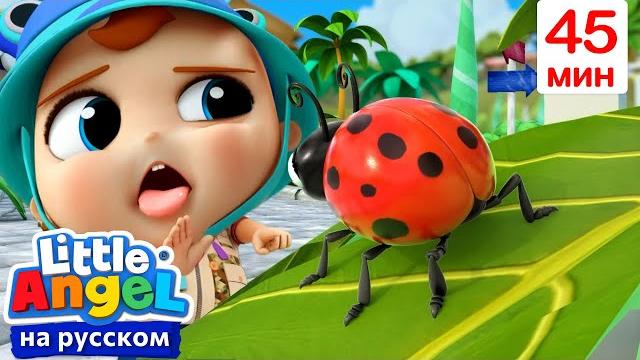 Изучаем насекомых | детские песенки - little angel на русском Изучаем насекомых | детские песенки - little angel на русском
