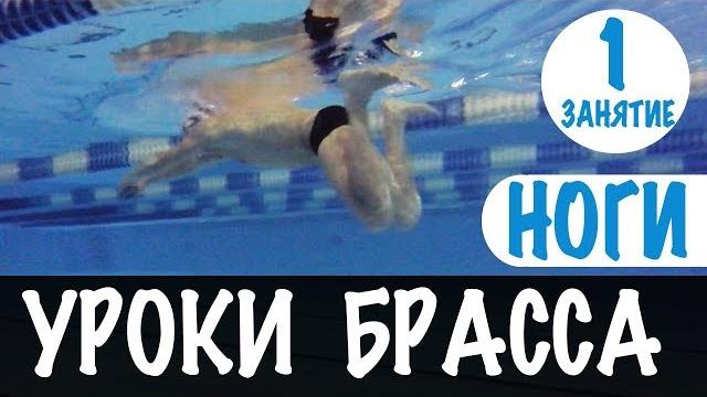 Плавание брассом: наибольшее продвижение @swimupru Плавание брассом: наибольшее продвижение @swimupru