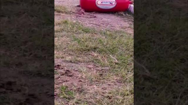 Metan gaz balon portlashi gbo гбо взрыв баллона с метановым газом метан газ балон портлаши #shorts Metan gaz balon portlashi gbo гбо взрыв баллона с метановым газом метан газ балон портлаши #shorts
