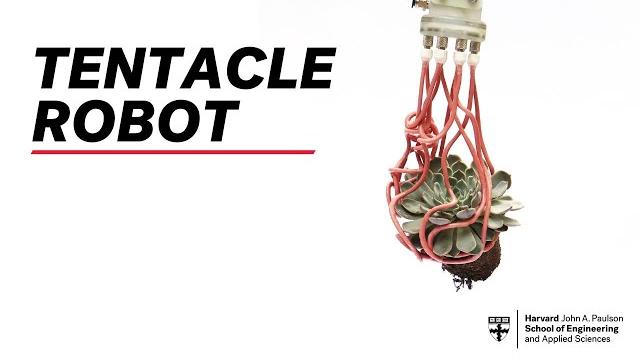 Tentacle robot can gently grasp fragile objects Tentacle robot can gently grasp fragile objects