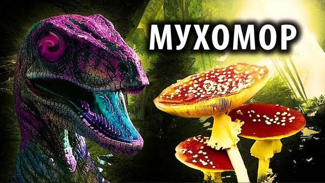 Мухомор: исследования, реальные эффекты Мухомор: исследования, реальные эффекты