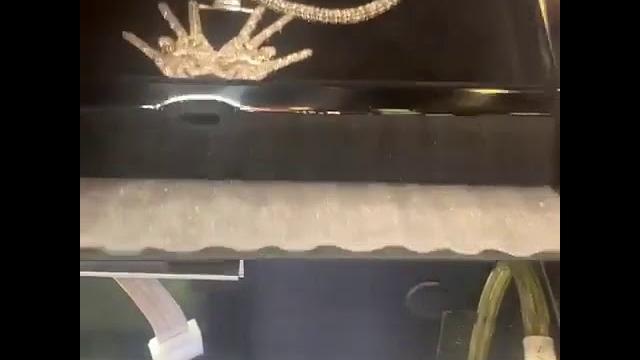 Paah paah paah paah Paah paah paah paah