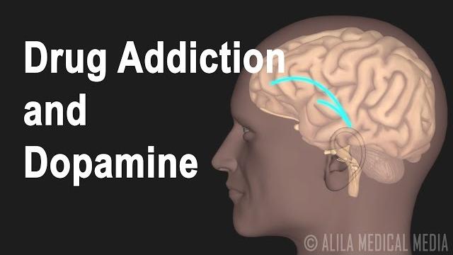 Mechanism of drug addiction in the brain, animation. Mechanism of drug addiction in the brain, animation.