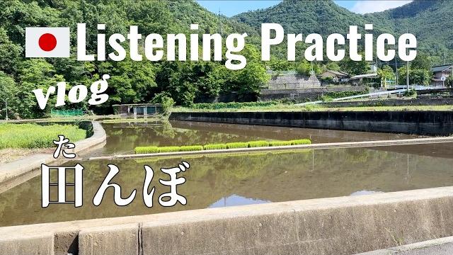 Rice fields in june | japanese listening practice Rice fields in june | japanese listening practice