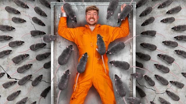 Face your biggest fear to win $800,000 Face your biggest fear to win $800,000