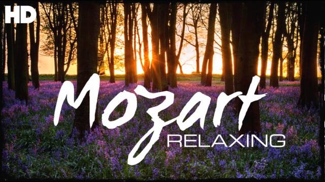The best relaxing classical music ever by mozart - relaxation meditation reading focus The best relaxing classical music ever by mozart - relaxation meditation reading focus