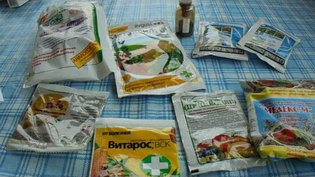 Фунгициды - препараты от болезней на растениях. Фунгициды - препараты от болезней на растениях.