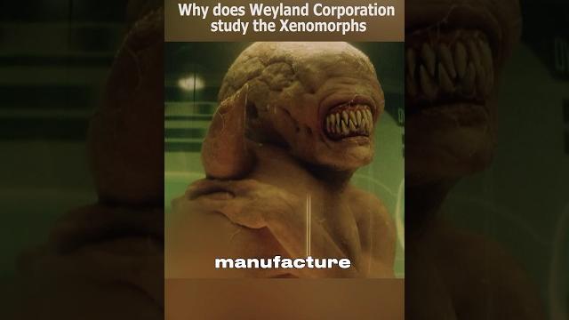 Why does weyland corporation study the xenomorphs? Why does weyland corporation study the xenomorphs?