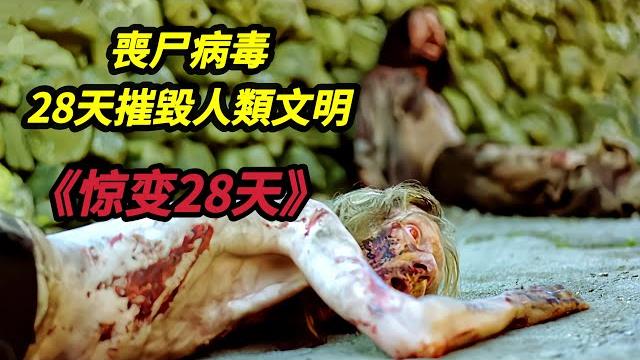 【大嘴】短短28天,喪尸病毒摧毀人類現代文明,災難發生後的倖存者該何去何從,英國經典高分喪尸電影《惊变28天/28天毁灭倒数》#horror #电影 #电影解说 #movie #film #電影 【大嘴】短短28天,喪尸病毒摧毀人類現代文明,災難發生後的倖存者該何去何從,英國經典高分喪尸電影《惊变28天/28天毁灭倒数》#horror #电影 #电影解说 #movie #film #電影