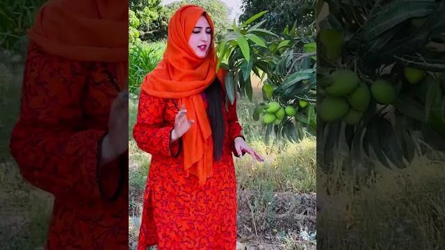 Mango #naintaraofficial #hijab Mango #naintaraofficial #hijab