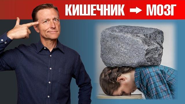 Депрессия не имеет никакого отношения к мозгу! Депрессия не имеет никакого отношения к мозгу!