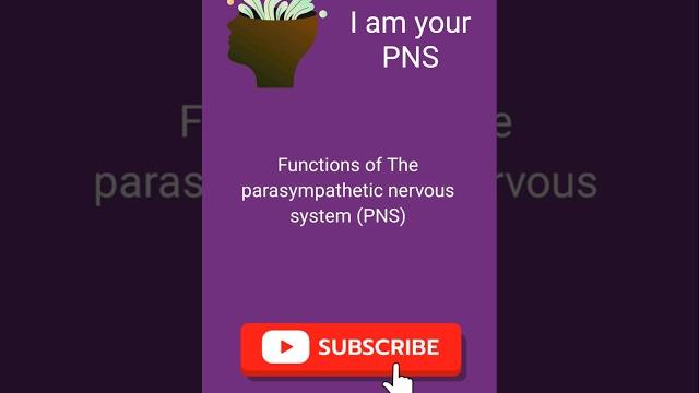 Parasympathetic nervous system #psychology #neuropsychology #neuropsychiatry #nervoussystem #pns Parasympathetic nervous system #psychology #neuropsychology #neuropsychiatry #nervoussystem #pns
