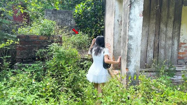 The young nurse decided to buy a cheap old house and clean it up, making the neighbours worried The young nurse decided to buy a cheap old house and clean it up, making the neighbours worried