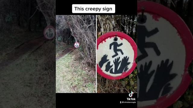 Creepy things found in the woods Creepy things found in the woods