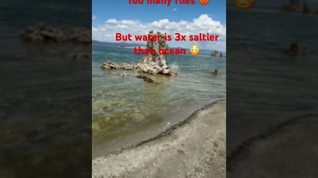 #beach too many flies! ayiah #beach too many flies! ayiah