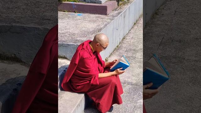 Kagyu thekchen ling monastery | #lava #monastery #buddha #buddhisttemple #temple #youtubeshorts #god Kagyu thekchen ling monastery | #lava #monastery #buddha #buddhisttemple #temple #youtubeshorts #god