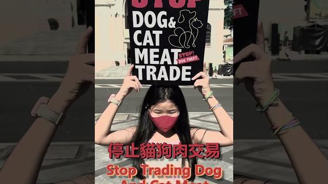 來自世界各國的怒吼!黃明志【千千萬萬個我】 反動live 版ft.黃明志國際研究中心 #shorts 來自世界各國的怒吼!黃明志【千千萬萬個我】 反動live 版ft.黃明志國際研究中心 #shorts
