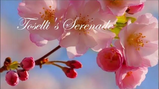 Toselli's serenade ~ 토셀리의 세레나데 ~ andre rieu •*¨*•.¸¸ Toselli's serenade ~ 토셀리의 세레나데 ~ andre rieu •*¨*•.¸¸