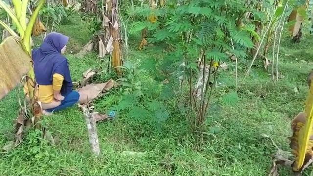 Ngintip cewek pipis dulu ahhhh... Ngintip cewek pipis dulu ahhhh...