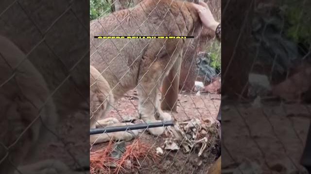 Chile recovers from disastrous floods | floods in chile | chile news | #shorts | english news Chile recovers from disastrous floods | floods in chile | chile news | #shorts | english news
