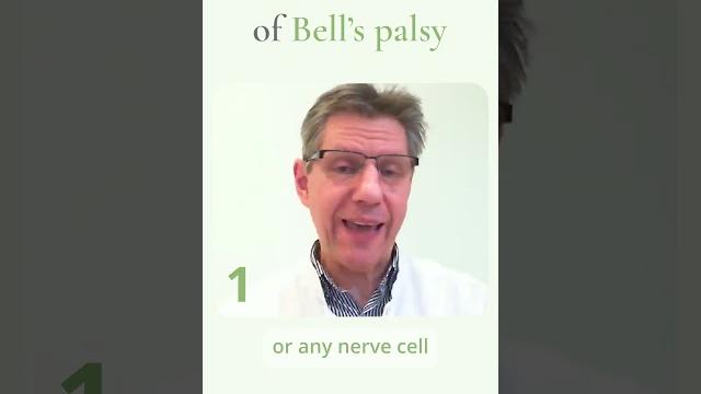 3 possible causes of bell's palsy. 3 possible causes of bell's palsy.