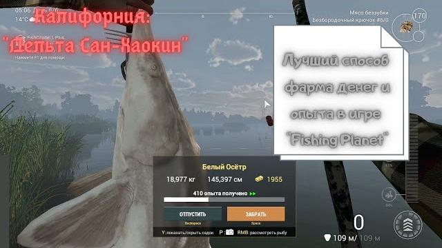 Fishing planet | лучший способ фарма денег и опыта | калифорния: дельта сан-хоакин/белый осётр,сазан Fishing planet | лучший способ фарма денег и опыта | калифорния: дельта сан-хоакин/белый осётр,сазан