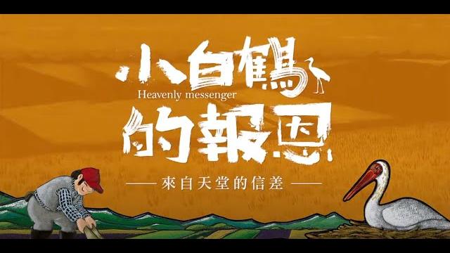 金鐘影片 小白鶴的報恩 中文字幕 精華版 金鐘影片 小白鶴的報恩 中文字幕 精華版
