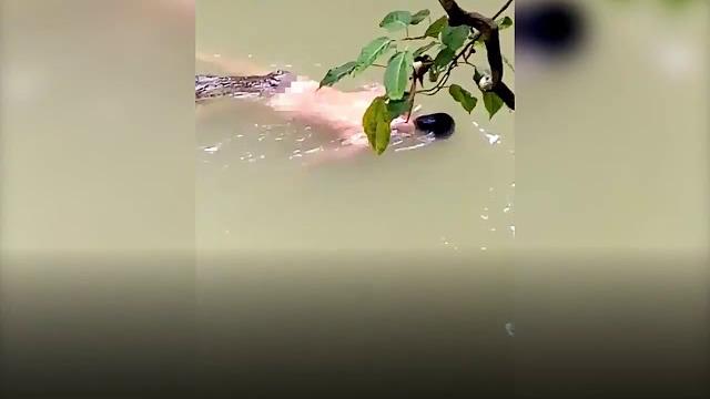 Momen mengerika buaya makan manusia Momen mengerika buaya makan manusia
