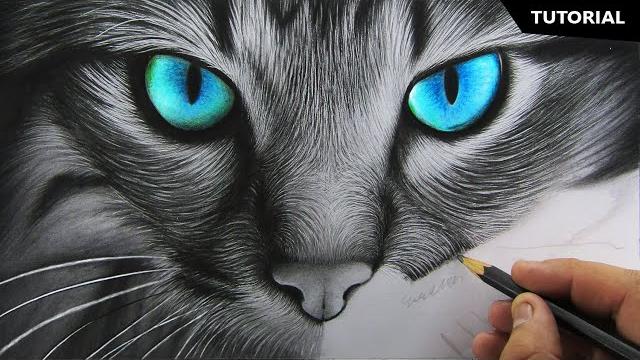 How to draw realistic cat for beginners | fur drawing technique How to draw realistic cat for beginners | fur drawing technique
