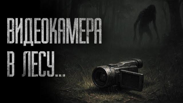 Гулял в лесу и нашёл видеокамеру... лучше бы я её не смотрел... страшные истории на ночь Гулял в лесу и нашёл видеокамеру... лучше бы я её не смотрел... страшные истории на ночь