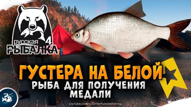 Русская рыбалка 4 — река белая, густера Русская рыбалка 4 — река белая, густера