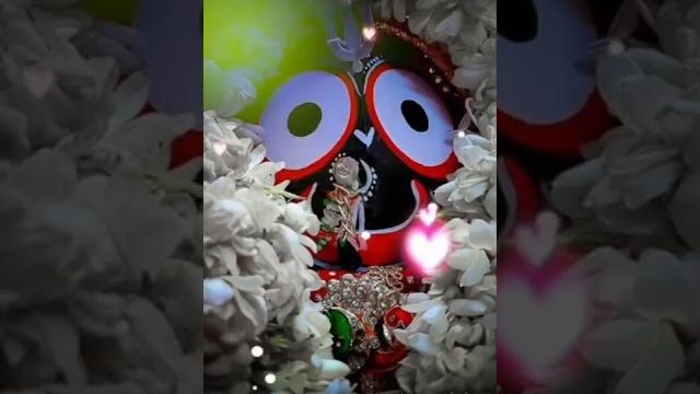 Jagannath odia bhajan status || jagannath status || jagannath new bhajan status || #bmstatuscruz Jagannath odia bhajan status || jagannath status || jagannath new bhajan status || #bmstatuscruz