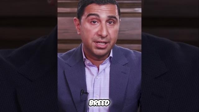 The dark side of renting wall street's housing takeover | growth vonka #largestcountry #business The dark side of renting wall street's housing takeover | growth vonka #largestcountry #business