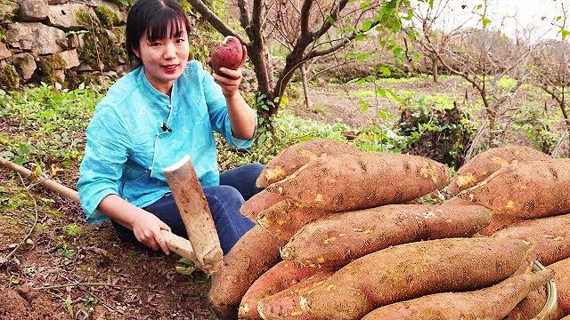 Go to the outer village to buy 100000 kilograms of sweet potatoes, rush directly to the ground to d Go to the outer village to buy 100000 kilograms of sweet potatoes, rush directly to the ground to d