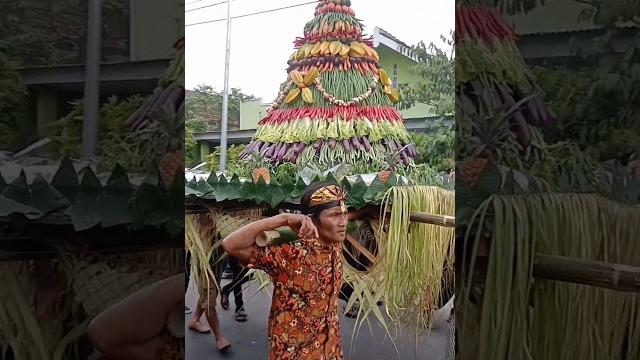 Sedekah hasil bumi, kirab budaya desa purworejo blitar #story #shortvideo #viral #viralvideoshorts Sedekah hasil bumi, kirab budaya desa purworejo blitar #story #shortvideo #viral #viralvideoshorts