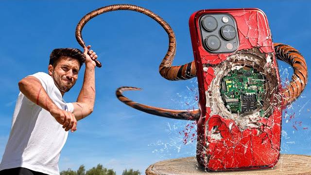 How dangerous is a whip? How dangerous is a whip?