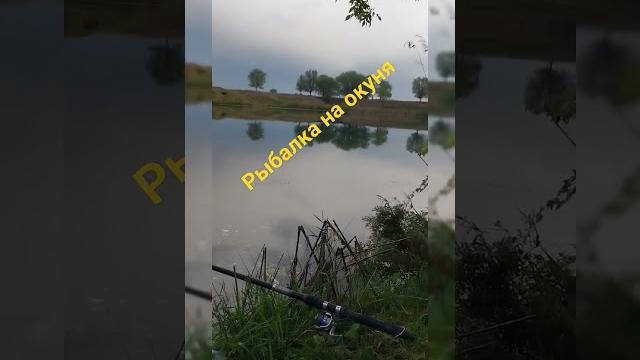 Рыбалка в бишкеке Рыбалка в бишкеке