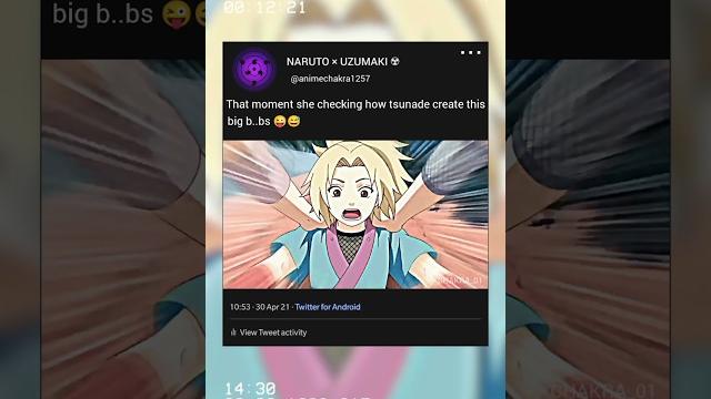 Tsunade 106 Tsunade 106