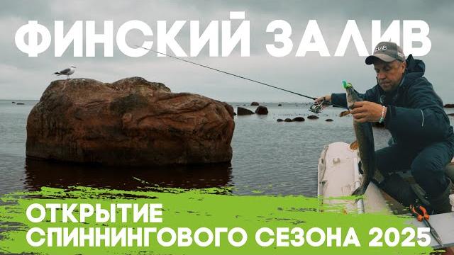 Финский залив. открытие спиннингового сезона 2025 Финский залив. открытие спиннингового сезона 2025