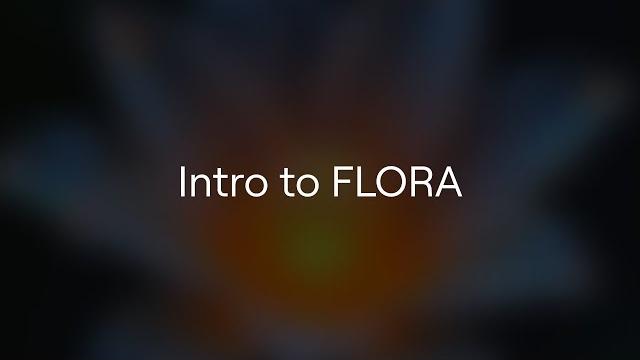 Introduction to flora basics Introduction to flora basics