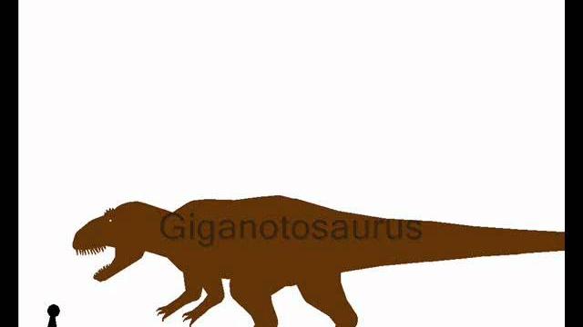 Pivot - dinosaur size comparison Pivot - dinosaur size comparison