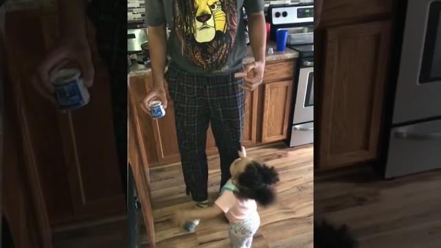Nova stay begging for food #foryou #fyp #nova #funny Nova stay begging for food #foryou #fyp #nova #funny