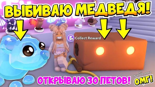 Выбиваю нового ледяного медведя в адопт миоткрываю 30 закрытых приманок с питомцами!adopt me Выбиваю нового ледяного медведя в адопт миоткрываю 30 закрытых приманок с питомцами!adopt me