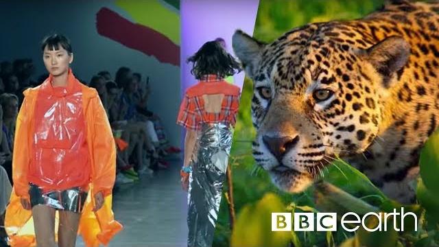 Can fashion be sustainable? | bbc earth Can fashion be sustainable? | bbc earth