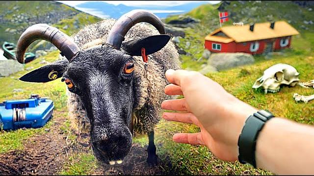 Slivki en noruega Slivki en noruega