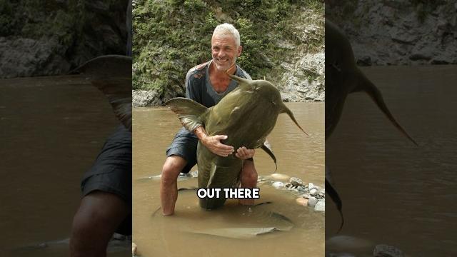 The river monster fish ended! The river monster fish ended!