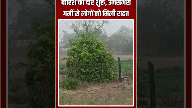 Rajasthan weather update: बारिश का दौर शुरू, उमसभरी गर्मी से लोगों को मिली राहत | heavy rain |jaipur Rajasthan weather update: बारिश का दौर शुरू, उमसभरी गर्मी से लोगों को मिली राहत | heavy rain |jaipur