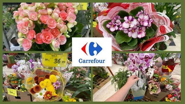 Muitas flores lindas para o dia dos namorados no carrefour #carrefour #diadosnamorados #plantas Muitas flores lindas para o dia dos namorados no carrefour #carrefour #diadosnamorados #plantas